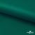 Ткань подкладочная Таффета, 19-5420, 53 г/м2, антистатик, шир. 150 см, вечнозеленый - купить в Барнауле. Цена 57.16 руб.