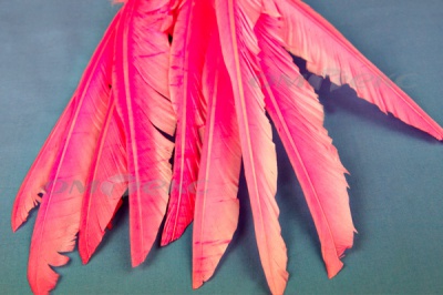 Декоративный Пучок из перьев, перо 25см/розовый - купить в Барнауле. Цена: 14.54 руб.