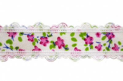 Тесьма декоративная 0385-6170, шир. 25 мм/уп. 22,8+/-1 м, цвет 02-розовый - купить в Барнауле. Цена: 368.42 руб.