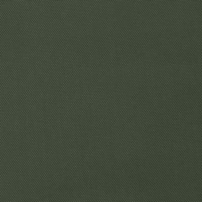 Ткань подкладочная "BEE" 19-0419, 54 гр/м2, шир.150см, цвет болотный - купить в Барнауле. Цена 64.20 руб.