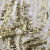 Трикотажное полотно, Сетка с пайетками, шир.130 см, #315, цв.-белый/золото - купить в Барнауле. Цена 693.39 руб.