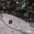 Сетка с вышивкой "Мадрид" 135 г/м2, 100% нейлон, ширина 130 см, Цвет 4/Черный - купить в Барнауле. Цена 980 руб.