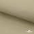Ткань подкладочная TWILL 230T 14-1108, беж светлый 100% полиэстер,66 г/м2, шир.150 cм - купить в Барнауле. Цена 88.74 руб.