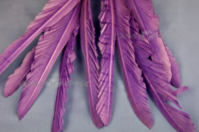 Декоративный Пучок из перьев, перо 25см/фиолетовый - купить в Барнауле. Цена: 12.19 руб.