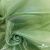 Ткань органза, 100% полиэстр, 28г/м2, шир. 150 см, цв. #27 зеленый - купить в Барнауле. Цена 86.24 руб.