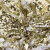 Трикотажное полотно, Сетка с пайетками, шир.130 см, #315, цв.-белый/золото - купить в Барнауле. Цена 693.39 руб.