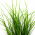 Трава искусственная -3, шт (осока 50 см/8 см  5 листов)				 - купить в Барнауле. Цена: 124.17 руб.
