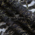 Кружевное полотно XD LACE 1-4, 80 гр/м2, шир.150см, цвет чёрный - купить в Барнауле. Цена 245.94 руб.